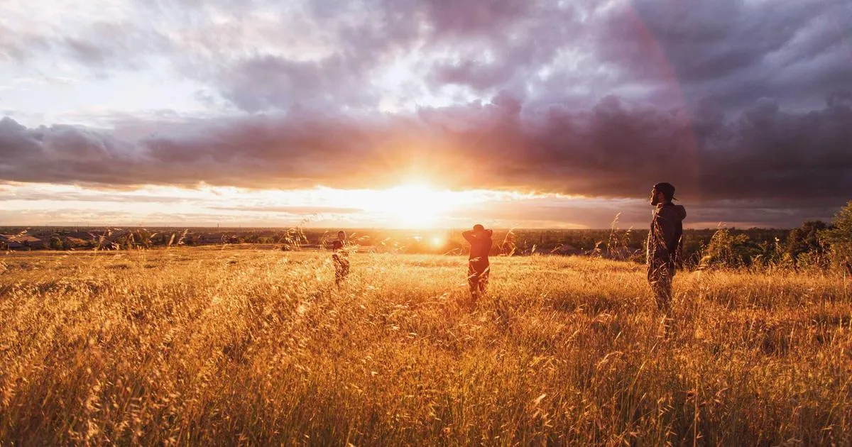 Explorez la gamme de poires : choisissez la variété idéale selon vos envies saisonnières, qu'elle soit fondante, croquante ou juteuse !